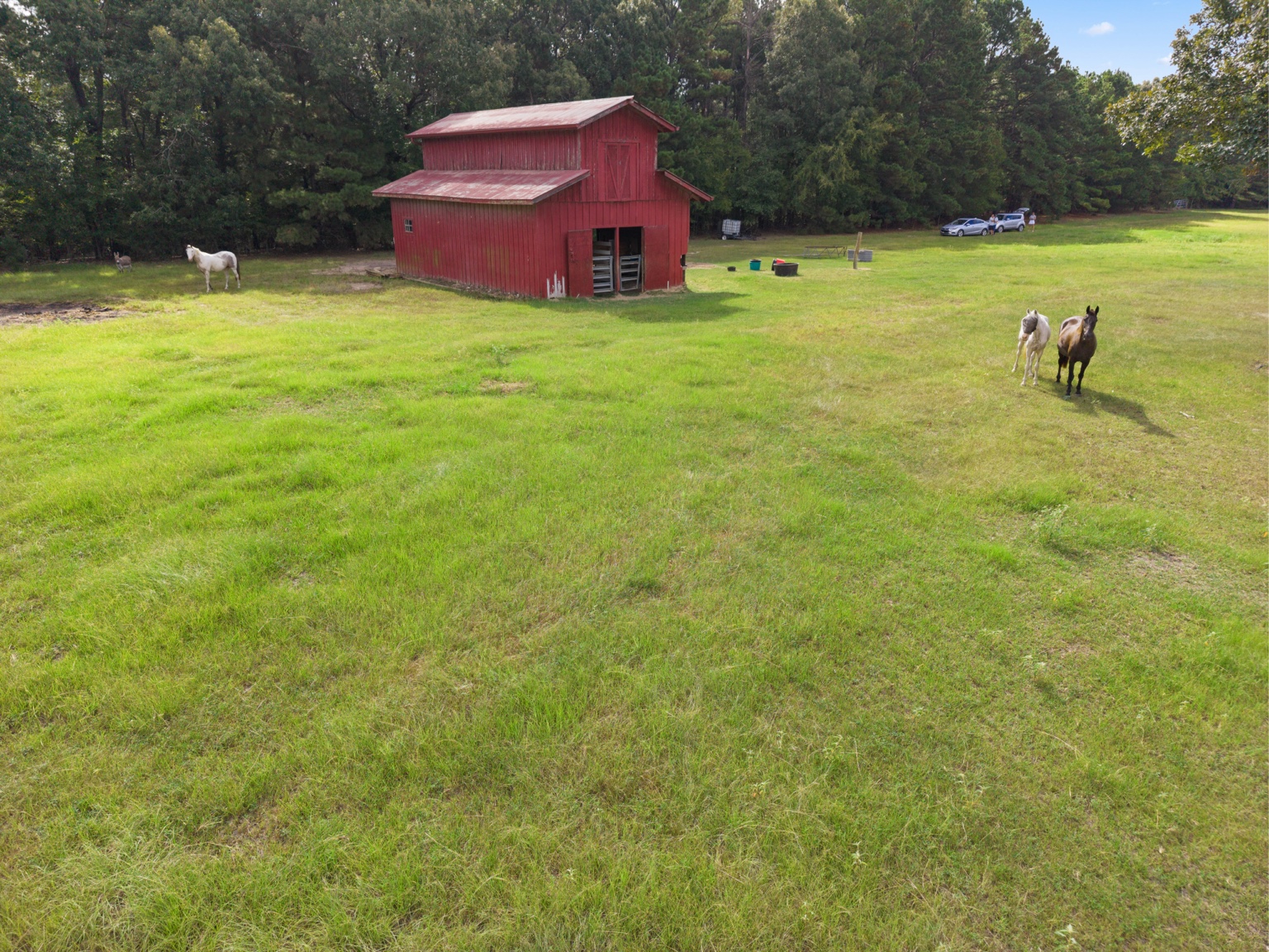 Horses beside a red barn in the Echo Lake community equestrian area