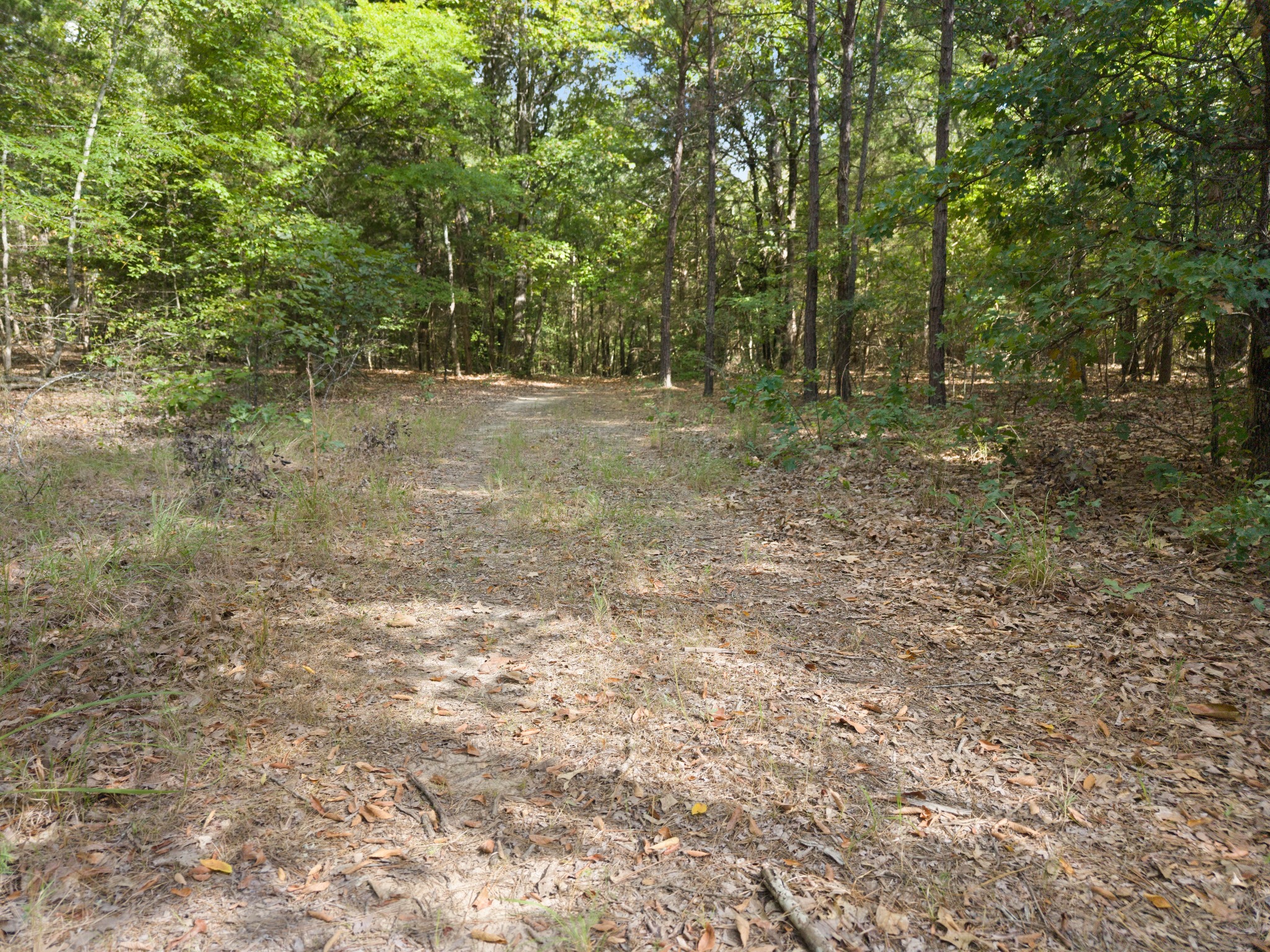 Wooded riding trail in the Echo Lake community